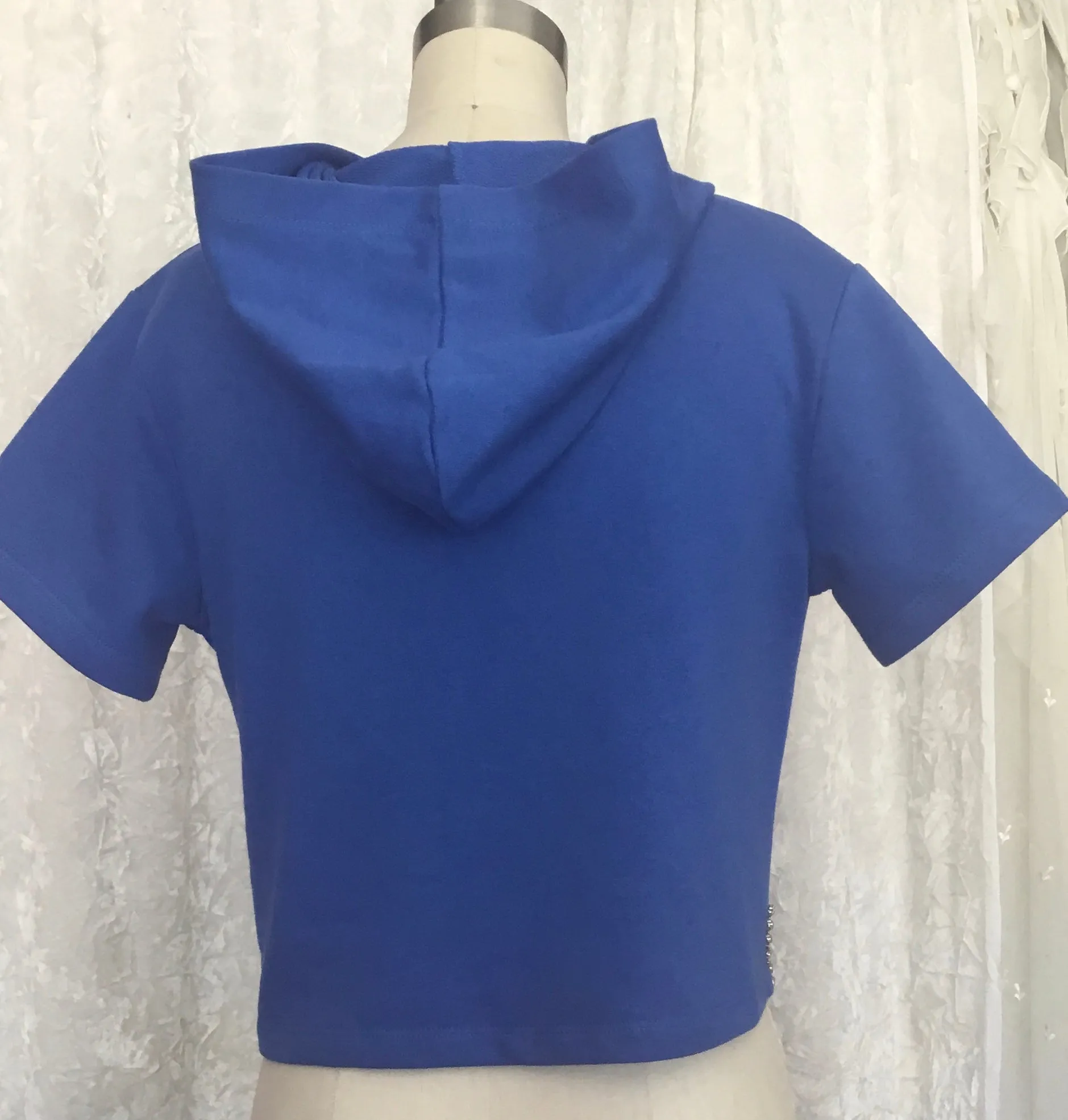 Sparkle Royal Blue Rhinestone Hoodie - Lexy
