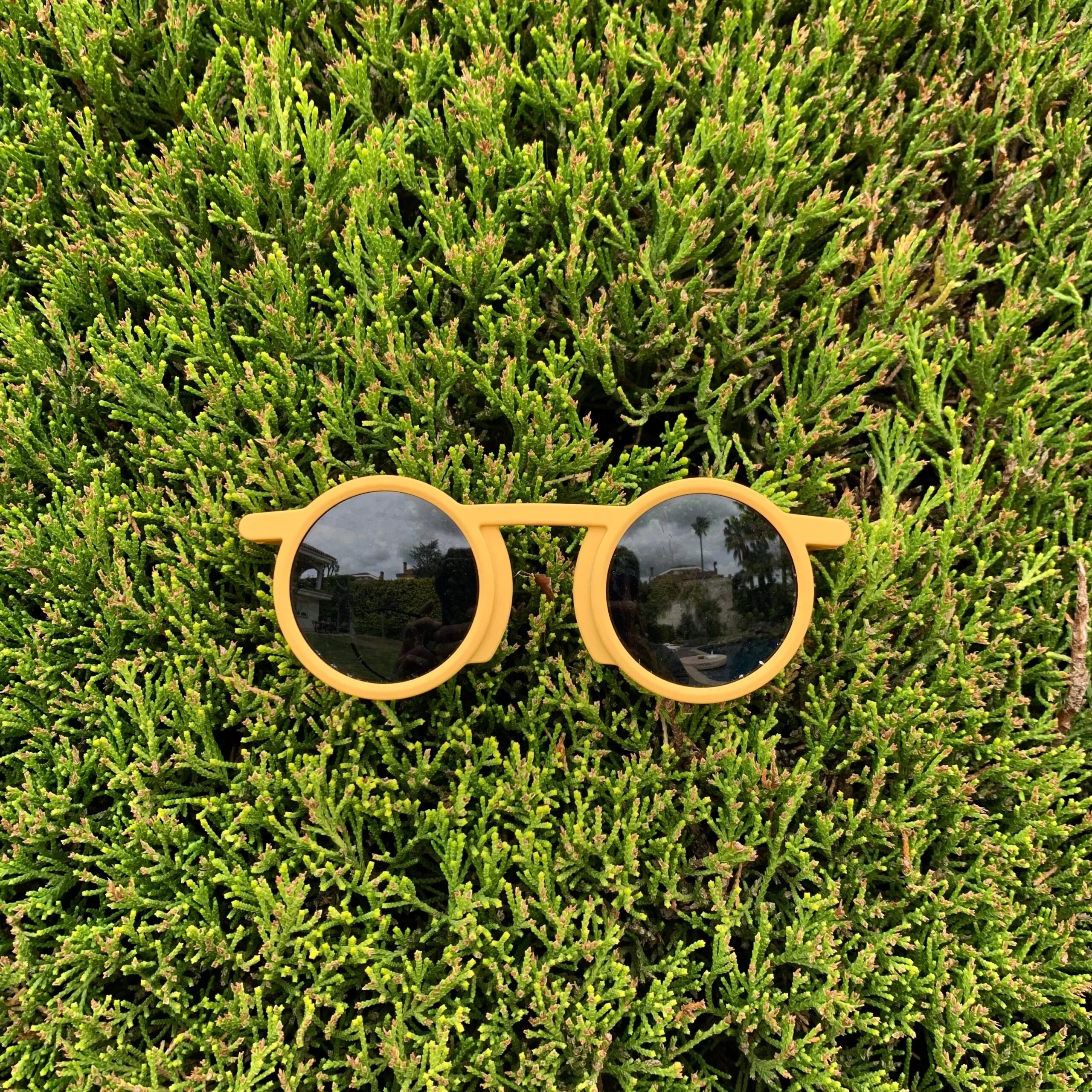 Terrae Lichi sunglasses - Mustard
